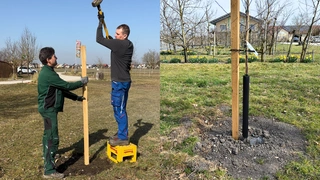 Im Frühjahr und Herbst können Obstgehölze gepflanzt werden
